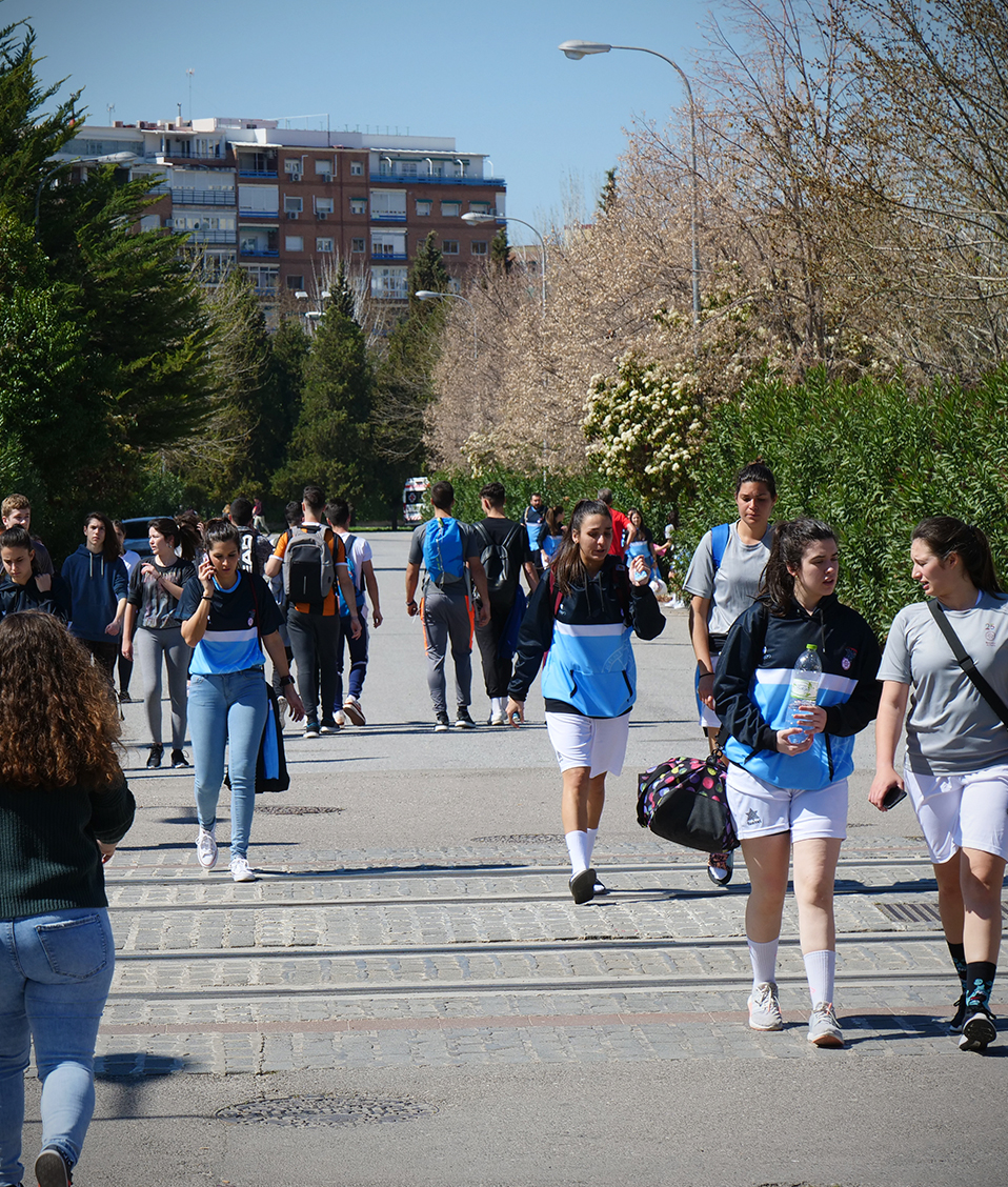 Estudiantes caminando por los paseillos universitarios title: Imagen de estudiantes caminando por una de las calles de los paseillos y cruzando la ví­a del metropolitano. Muchos con ropa de deporte. A los lados hay vegetación
