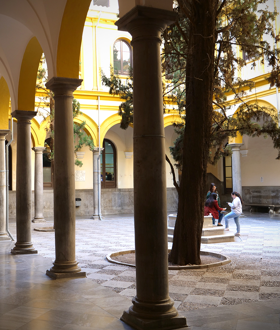 Patio central con columnas de la Facultad de Derecho, en el mismo se ve un árbol principal y estudiantes a los lados