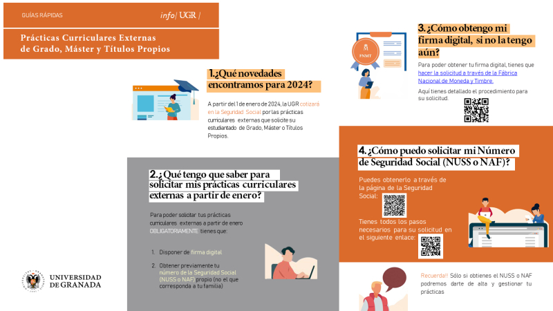 practicas curriculares externas novedad 2024 Organigrama para solicitar practicas curriculares externas por pasos